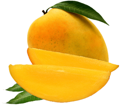 Picture of Fresh Alphonso Mango