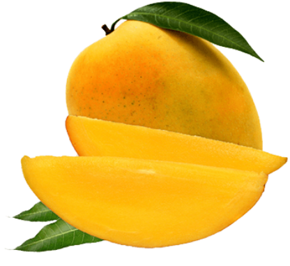 Picture of Fresh Alphonso Mango