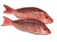 Picture of Fresh Rohu Fish