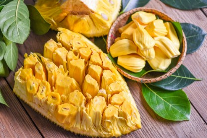 Picture of Jackfruit