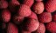 Show details for Litchi Picture of Litchi