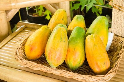Picture of papaya