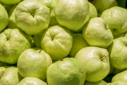 Picture of Guava