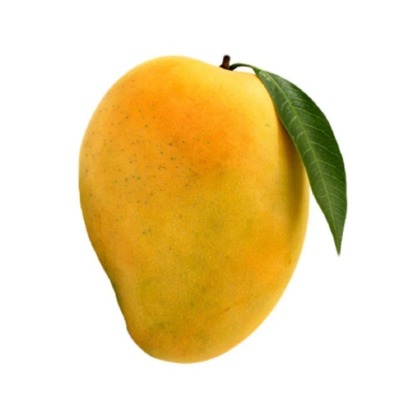 Picture for category Mangoo