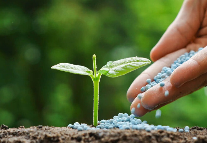 Picture for category Fertilizers