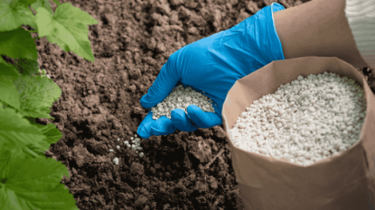 Picture of Organic Fertilizer – All Purpose Plant Nutrition