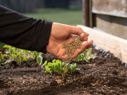 Picture of Liquid Seaweed Fertilizer – Natural Growth Promoter
